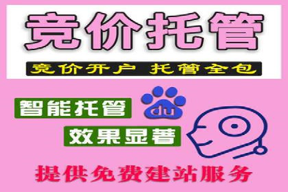 成功案例分享：网络推广与竞价如何结合